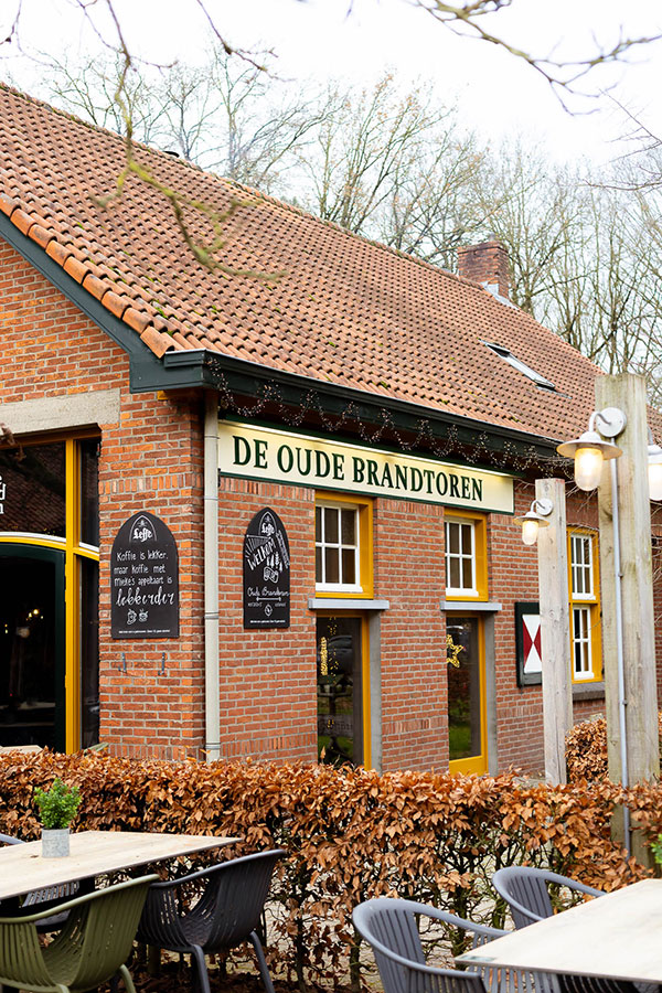 Luchtfoto van het bosterras bij De Oude Brandtoren in Reusel, met ruime zitplaatsen midden in het bos