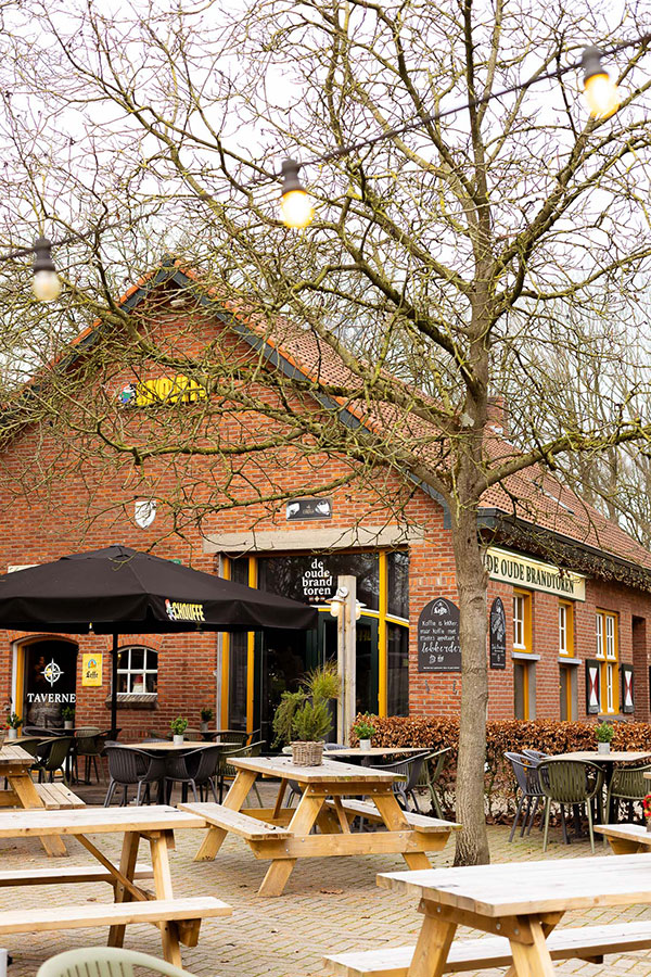 Luchtfoto van het bosterras bij De Oude Brandtoren in Reusel, met ruime zitplaatsen midden in het bos